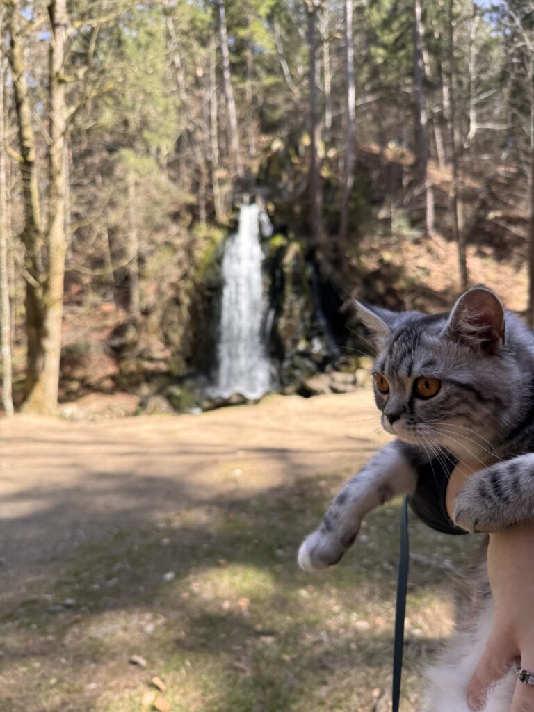 Terčino údolí 3