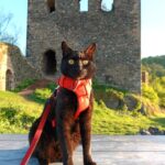 Zřícenina hradu Egerberk u Klášterce nad Ohří 3