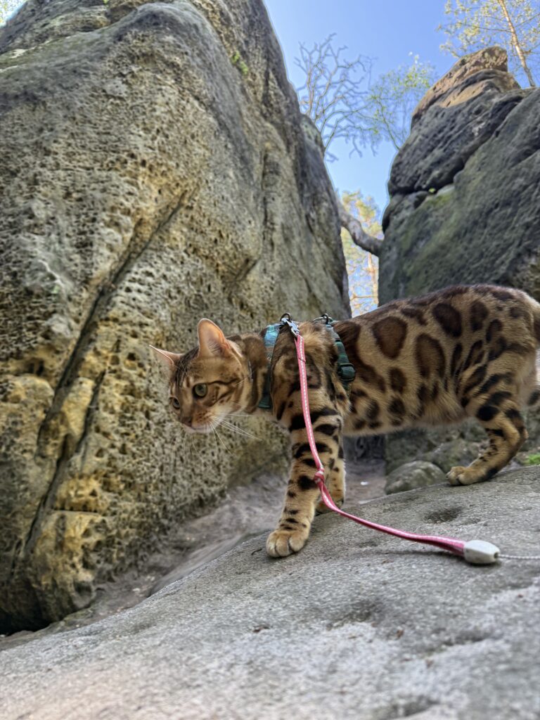 Skalní město Bludiště