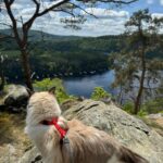 Svatojánská vyhlídka 3