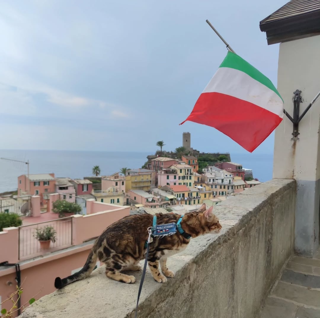 Letime na dovolenou 3