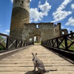 Zřícenina zámku Zvířetice