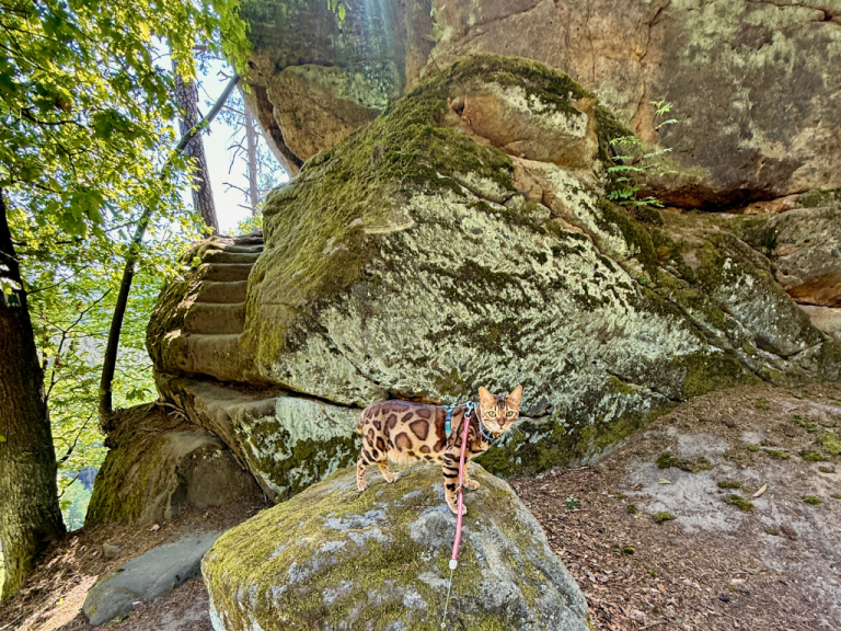 hrad u konradova banner